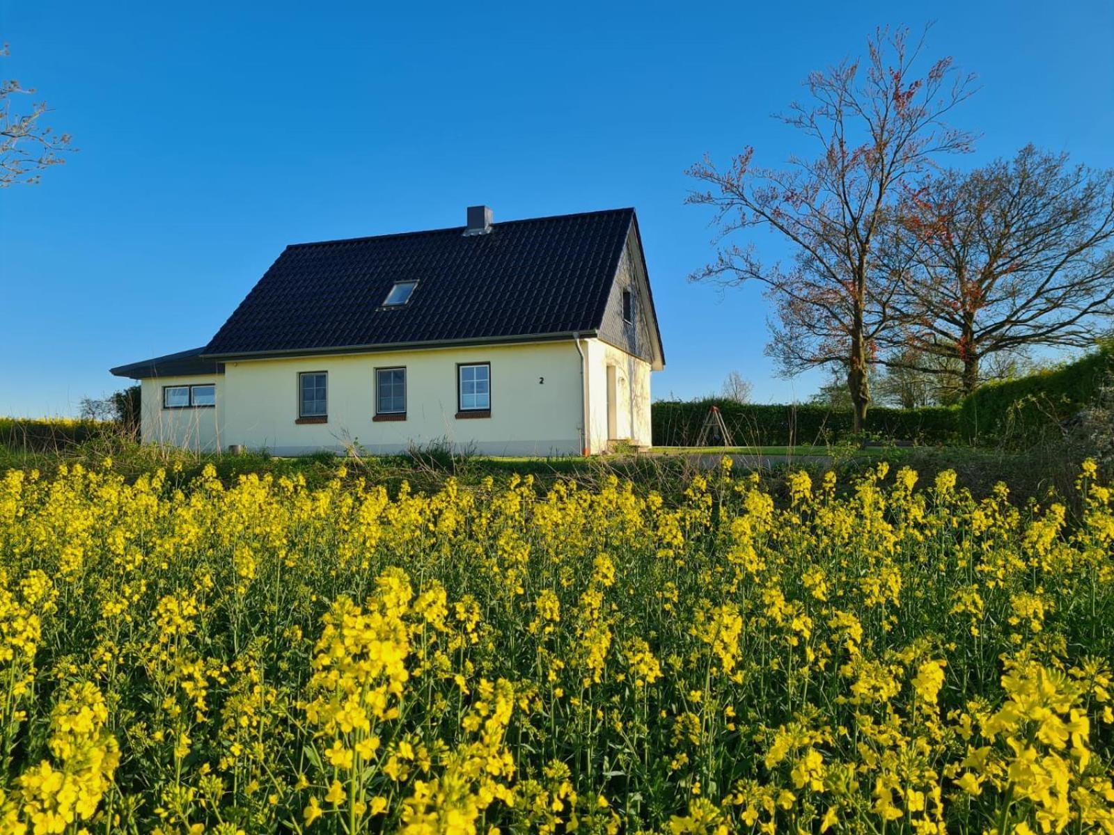 Ferienhaus Loimoos Schnarup-Thumby Exterior foto